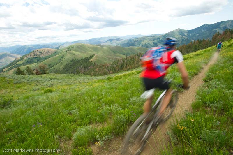 mountain biking singletrack