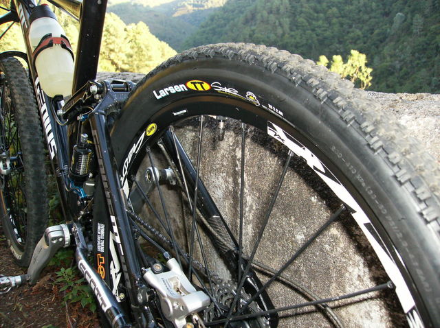 maxxis larsen tt