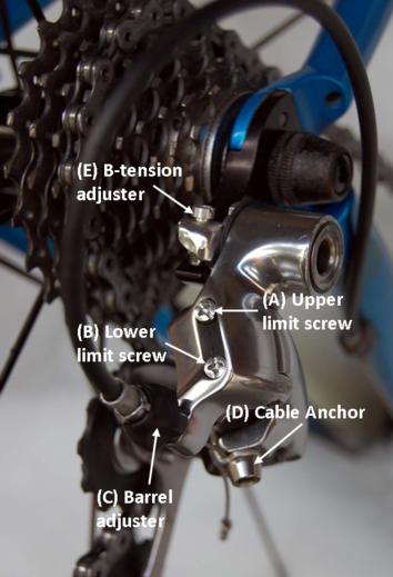 adjusting a rear derailleur on a mountain bike