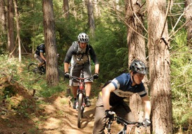 trail MTB riders