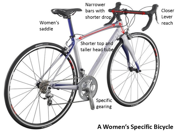 Womens Specific Bicycle Design