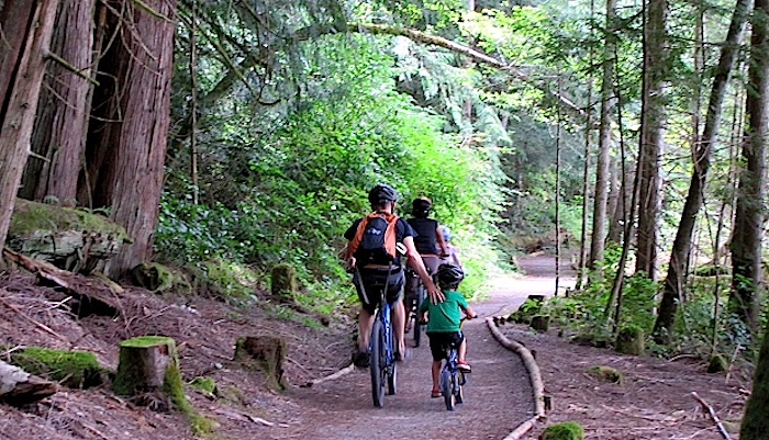 Family cycling on forest path