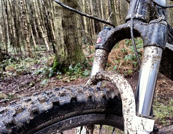 Cleaning and lubricating your MTB fork