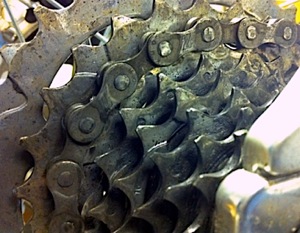 Bike cassette