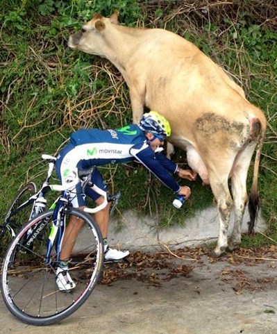 Real cyclists are self sufficient - fresh milk