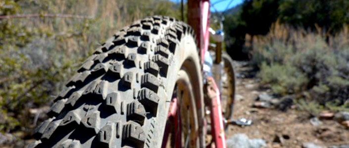 WTB Weirwolf LT MTB tire