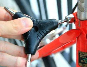 Adjust bike bolt