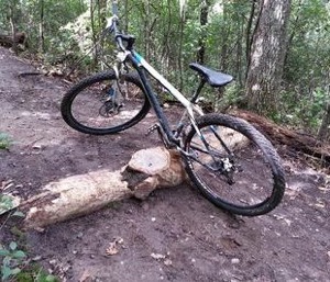 Mountain bike obstacles