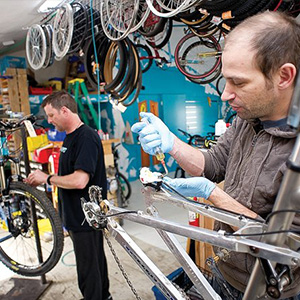 Local Bike Shop Mechanic