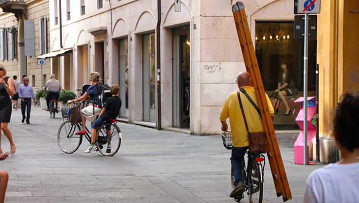 Bicycle ladder