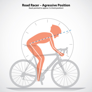 What is the between a road and endurance/gran fondo bike?