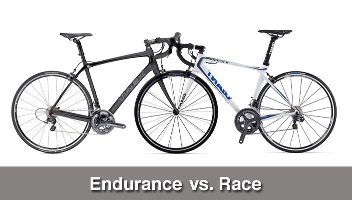 Endurance V's Race