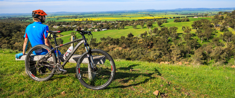 Admiring the view with hardtail