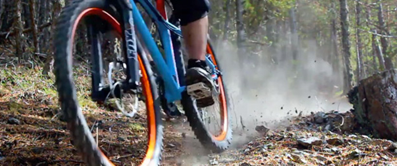 Trailblazing on a hardtail