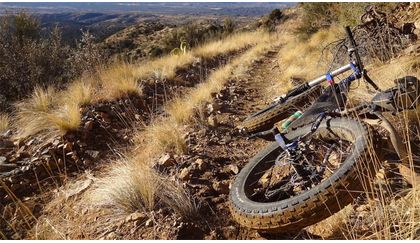 Read 'How to choose the best tires for mountain biking'