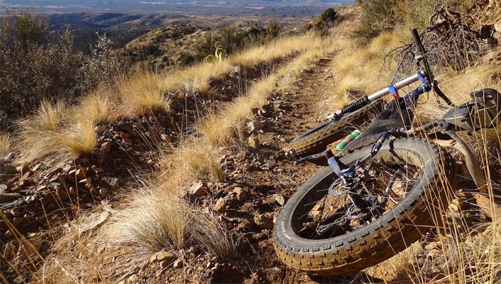 How to choose the best tires for mountain biking