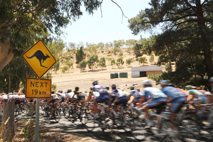The pros are on their latest bikes in the 2015 Tour Down Under