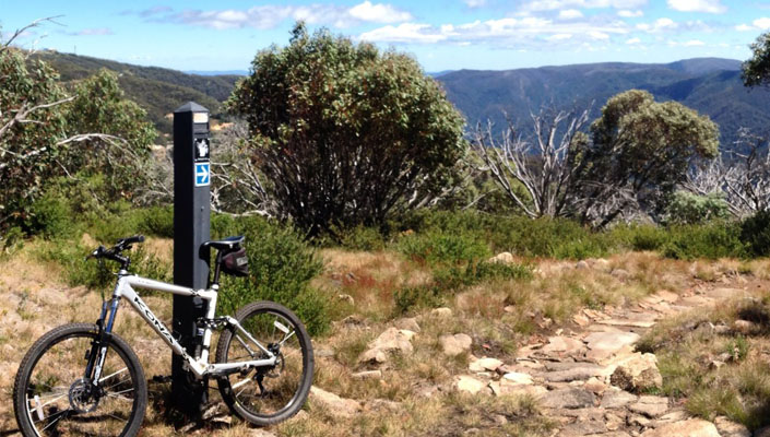 Mt. Buller