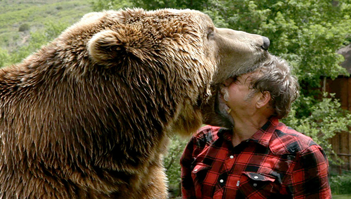 Trained grizzly bear