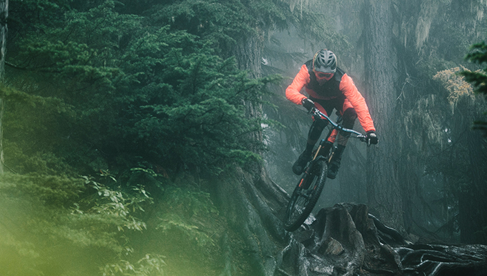 Bas van Steenbergen Enduro PLUS bike