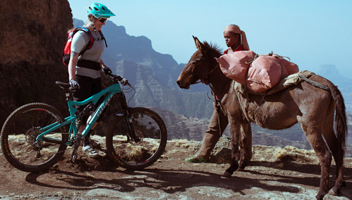 Bike meets donkey