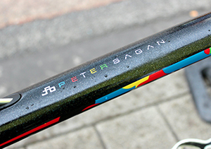 Peter Sagan Custom Painted Tarmac Top Tube