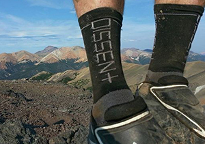 Dissent Labs Socks