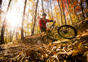 fall biking