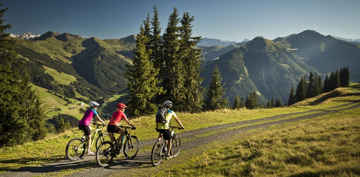 Bike parks aren't just about downhill riding - via www.astrid.at