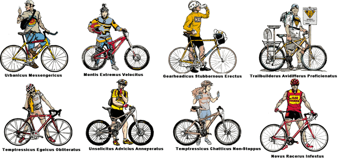 Species of Cyclists via solonbicycle.com
