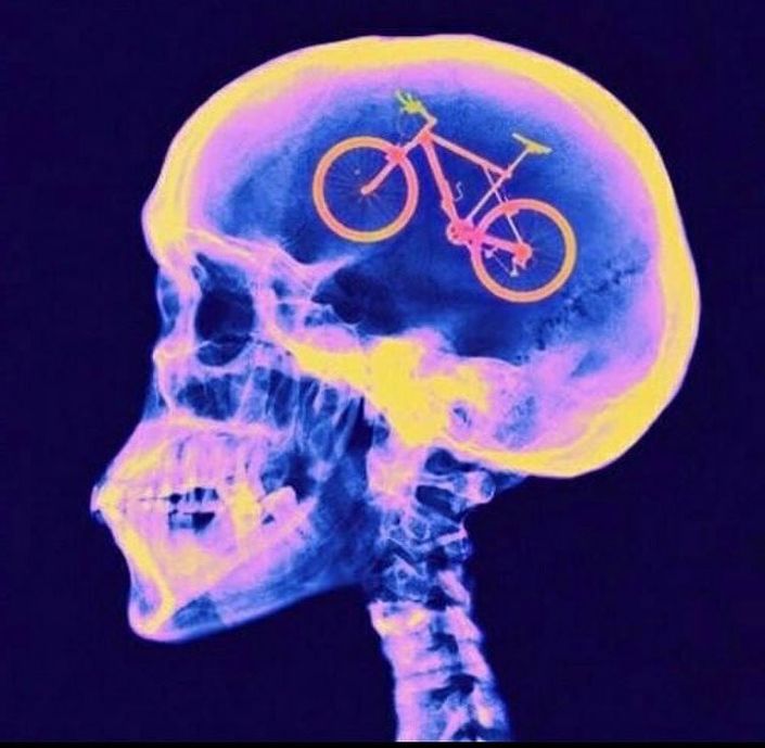 Skull x-ray with bicycle