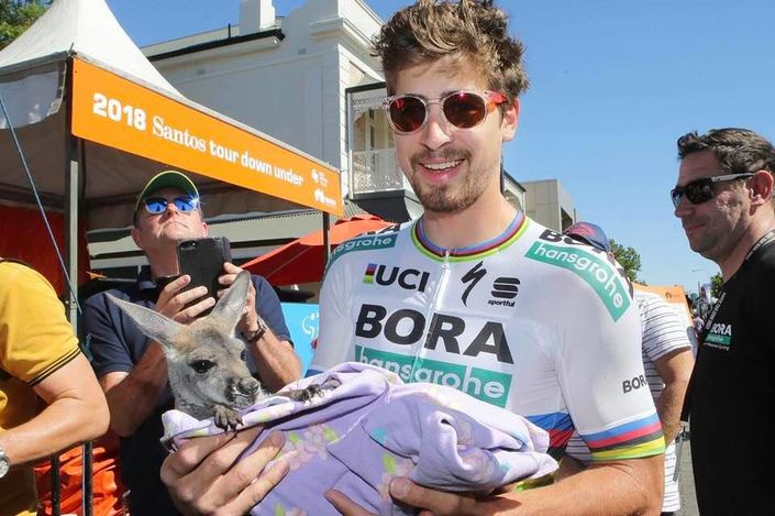 Peter poses with a baby kangaroo at Tour Down Under 2018
