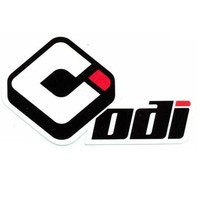 Image result for odi logo