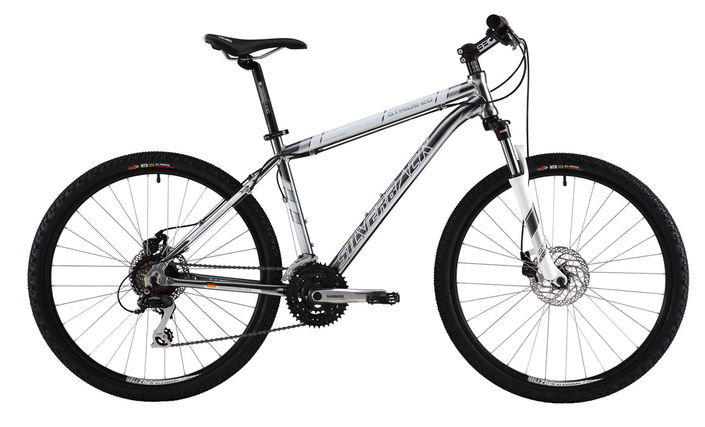 Silverback stride mountain online bike