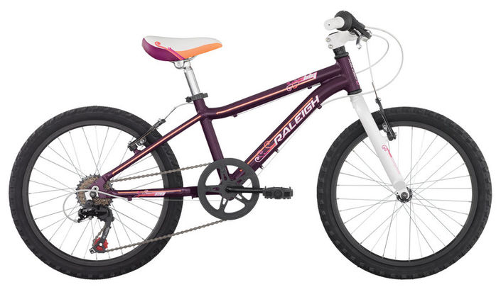 raleigh girls mountain bike