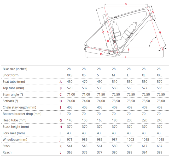 focus izalco max sizing