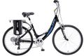 Currie tech ezip eco ride 2 w 2014