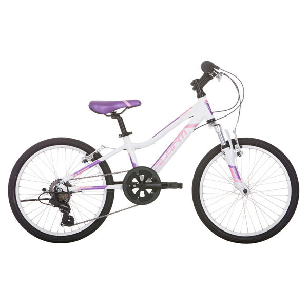 Avanti spice online bike