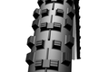 Schwalbe dirty dan 2014