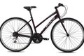 Fuji absolute 2.1 stagger 2014