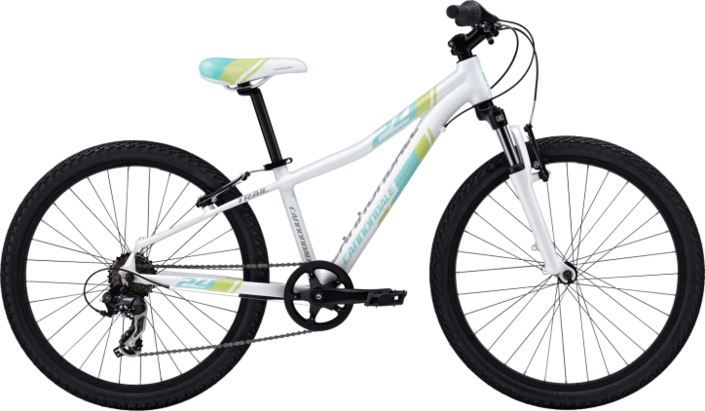 cannondale 24 trail bike