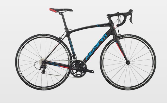 Avanti carbon road bike online