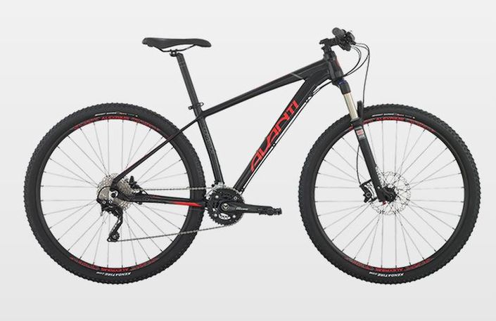 Avanti hardtail hot sale