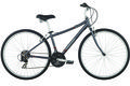 Raleigh detour 3.5 side pewter 2014
