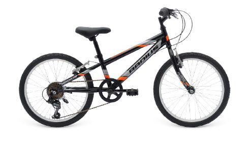 Radius 20 inch bike on sale