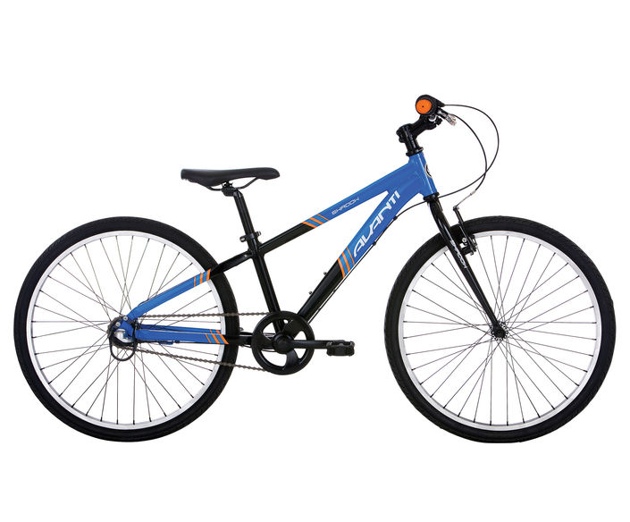 Avanti boys online bike