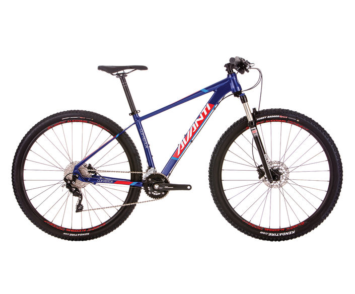 avanti competitor mountain bike