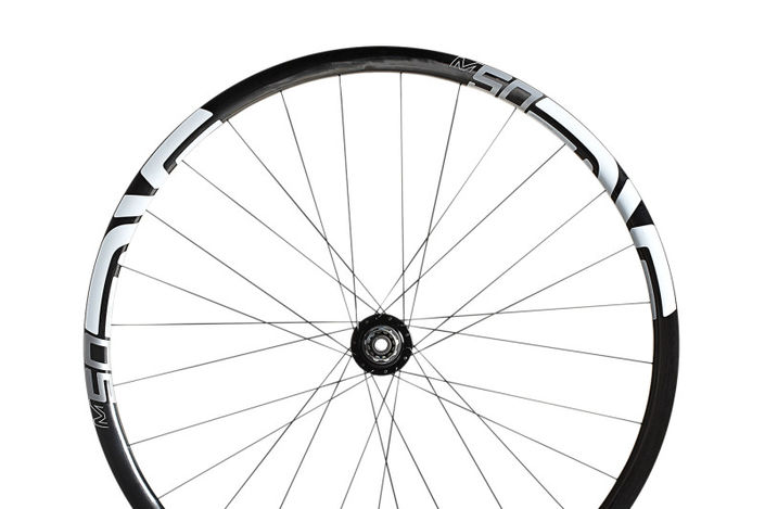 enve m50 29 wheelset