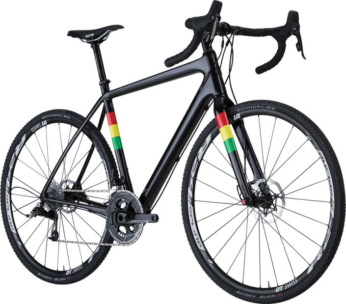 salsa warbird reviews