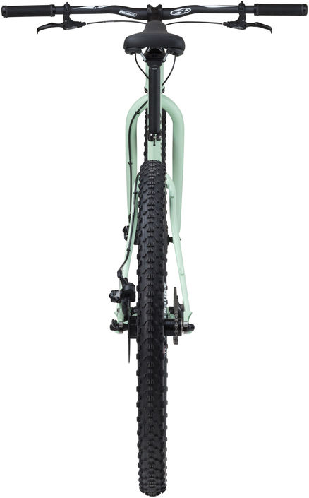 surly karate monkey single speed